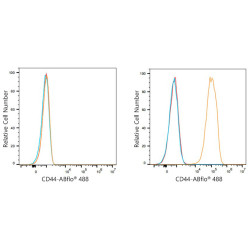 ABflo® 488 Rabbit anti-Mouse CD44 mAb