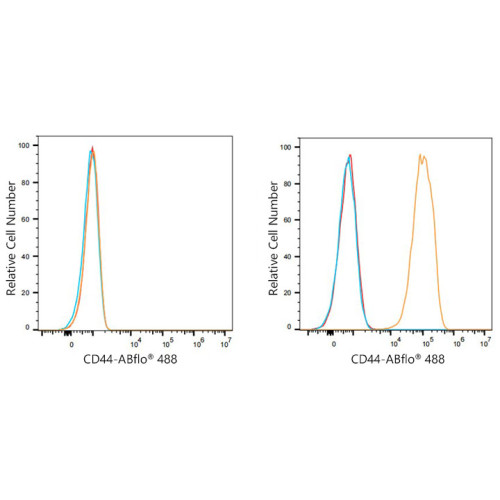 ABflo® 488 Rabbit anti-Mouse CD44 mAb