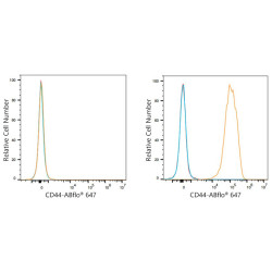 ABflo® 647 Rabbit anti-Mouse CD44 mAb
