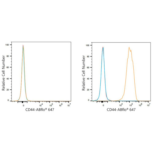 ABflo® 647 Rabbit anti-Mouse CD44 mAb