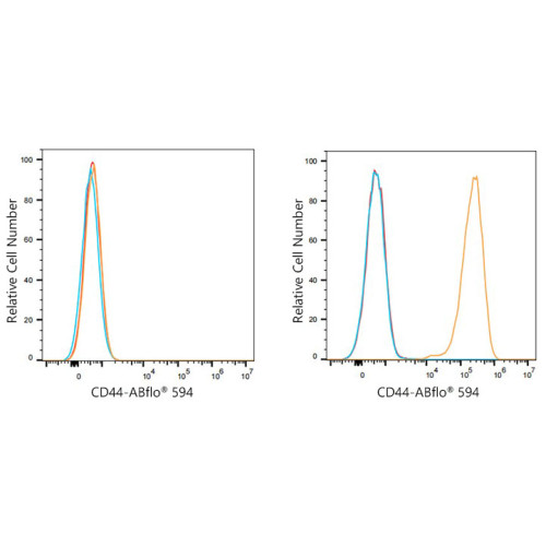 ABflo® 594 Rabbit anti-Mouse CD44 mAb