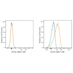 ABflo® 488 Rabbit anti-Human CD185/CXCR5 mAb