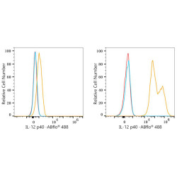 ABflo® 488 Rabbit anti-Mouse IL-12 p40 mAb