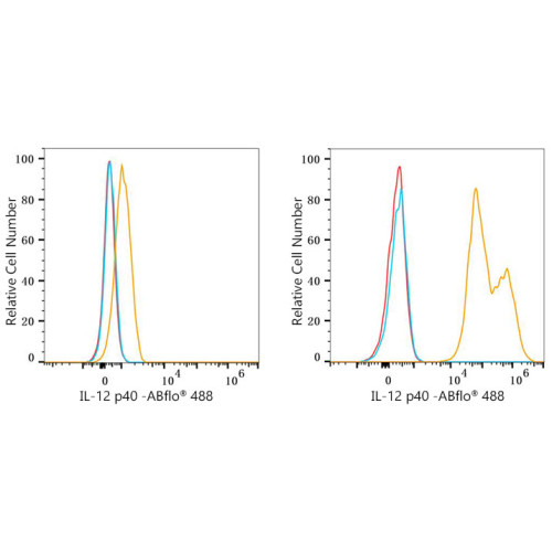 ABflo® 488 Rabbit anti-Mouse IL-12 p40 mAb