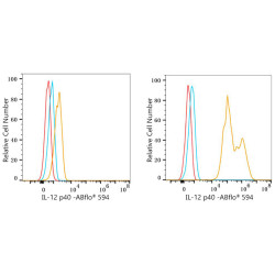 ABflo® 594 Rabbit anti-Mouse IL-12 p40 mAb