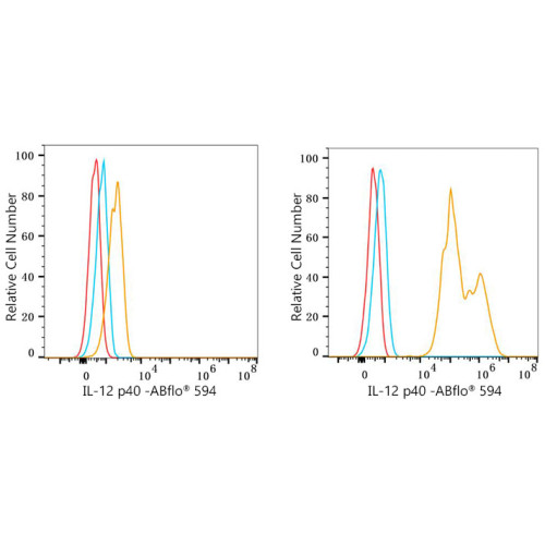 ABflo® 594 Rabbit anti-Mouse IL-12 p40 mAb