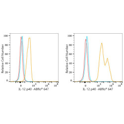 ABflo® 647 Rabbit anti-Mouse IL-12 p40 mAb