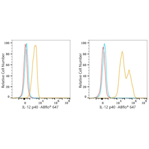 ABflo® 647 Rabbit anti-Mouse IL-12 p40 mAb