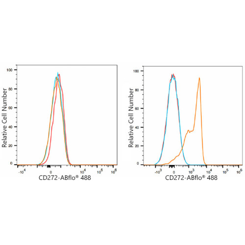 ABflo® 488 Rabbit anti-Mouse CD272/BTLA mAb