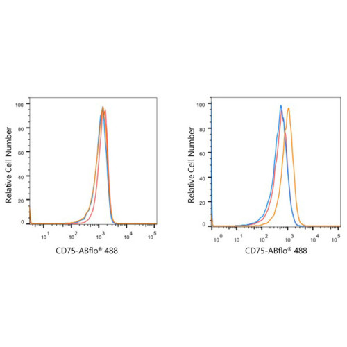 ABflo® 488 Rabbit anti-Human CD75 mAb