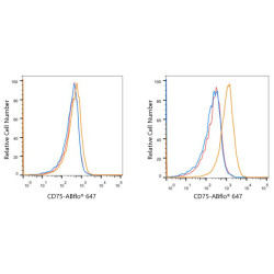 ABflo® 647 Rabbit anti-Human CD75 mAb