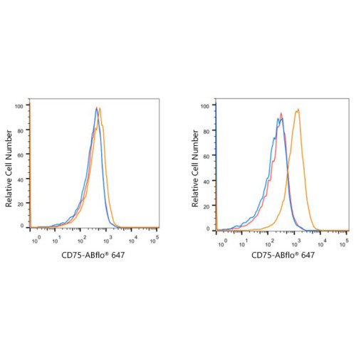 ABflo® 647 Rabbit anti-Human CD75 mAb