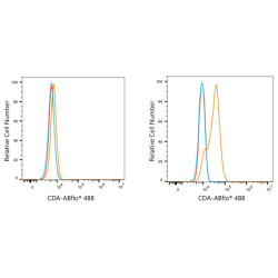 ABflo® 488 Rabbit anti-Human CDA mAb