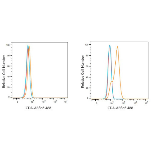ABflo® 488 Rabbit anti-Human CDA mAb