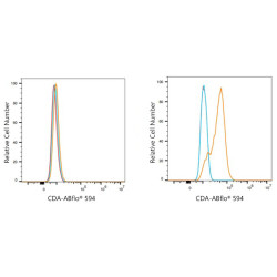 ABflo® 594 Rabbit anti-Human CDA mAb