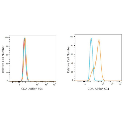 ABflo® 594 Rabbit anti-Human CDA mAb
