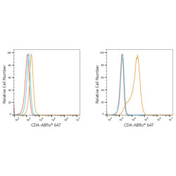 ABflo® 647 Rabbit anti-Human CDA mAb