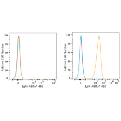 ABflo® 488 Rabbit anti-Human/Monkey IgM (FC) mAb