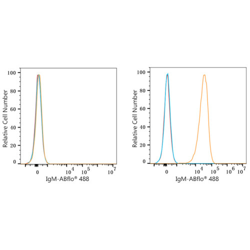 ABflo® 488 Rabbit anti-Human/Monkey IgM (FC) mAb
