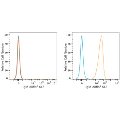 ABflo® 647 Rabbit anti-Human/Monkey IgM (FC) mAb