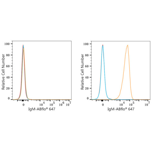 ABflo® 647 Rabbit anti-Human/Monkey IgM (FC) mAb