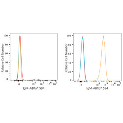ABflo® 594 Rabbit anti-Human/Monkey IgM (FC) mAb