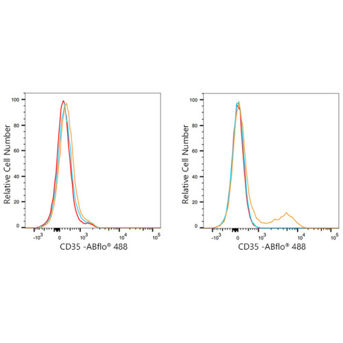 ABflo® 488 Rabbit anti-Human CD35 mAb