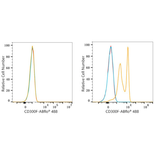 ABflo® 488 Rabbit anti-Human CD300F/IREM-1 mAb