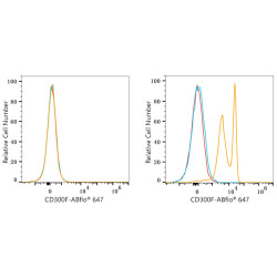 ABflo® 647 Rabbit anti-Human CD300F/IREM-1 mAb