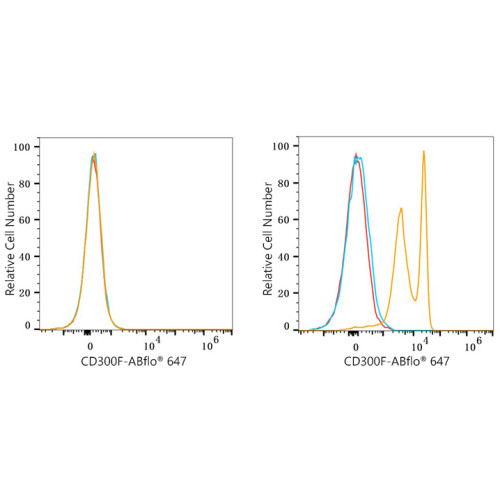 ABflo® 647 Rabbit anti-Human CD300F/IREM-1 mAb
