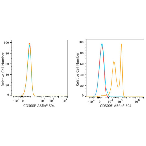 ABflo® 594 Rabbit anti-Human CD300F/IREM-1 mAb