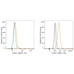 ABflo® 594 Rabbit anti-Human ULBP2 mAb