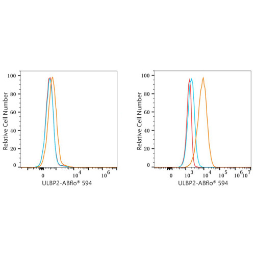ABflo® 594 Rabbit anti-Human ULBP2 mAb