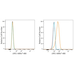 ABflo® 488 Rabbit anti-Human Megalin/LRP2 mAb