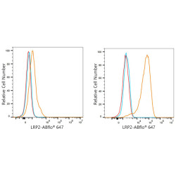 ABflo® 647 Rabbit anti-Human Megalin/LRP2 mAb