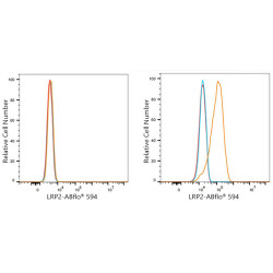 ABflo® 594 Rabbit anti-Human Megalin/LRP2 mAb