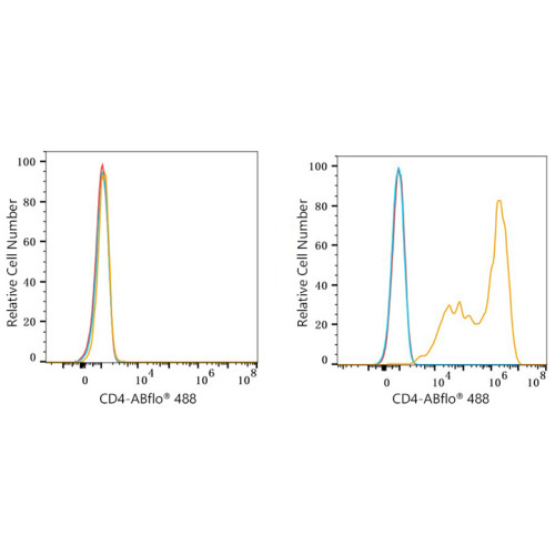 ABflo® 488 Rabbit anti-Mouse CD4 mAb