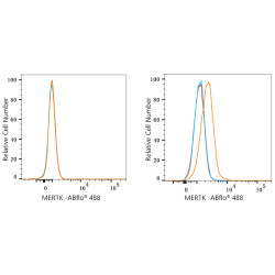 ABflo® 488 Rabbit anti-Human MERTK mAb