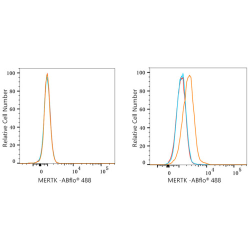 ABflo® 488 Rabbit anti-Human MERTK mAb