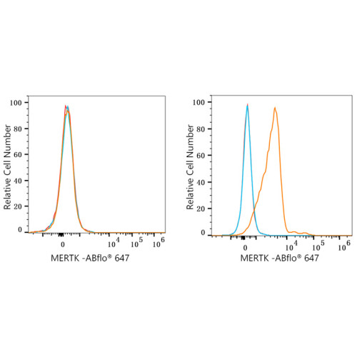 ABflo® 647 Rabbit anti-Human MERTK mAb