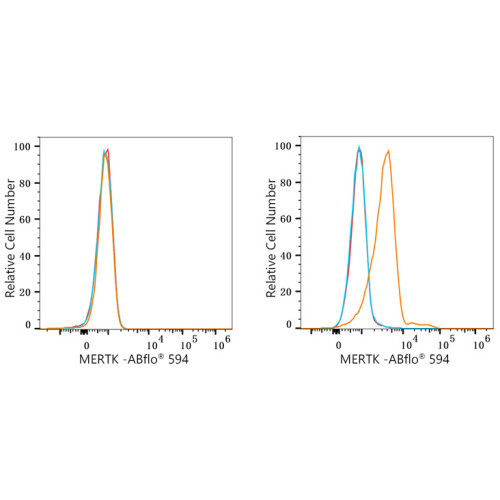 ABflo® 594 Rabbit anti-Human MERTK mAb