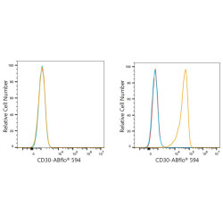 ABflo® 594 Rabbit anti-Human CD30 mAb