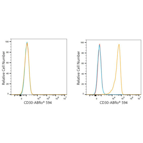 ABflo® 594 Rabbit anti-Human CD30 mAb