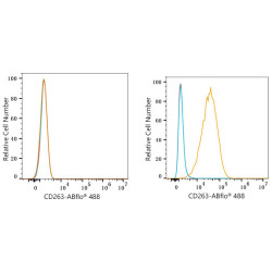 ABflo® 488 Rabbit anti-Human CD263/TRAIL-R3 mAb