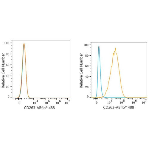 ABflo® 488 Rabbit anti-Human CD263/TRAIL-R3 mAb