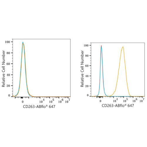 ABflo® 647 Rabbit anti-Human CD263/TRAIL-R3 mAb