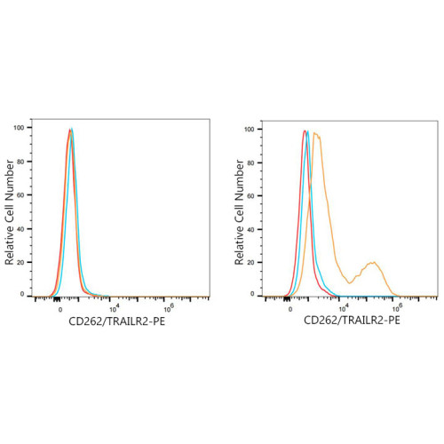 PE Rabbit anti-Mouse CD262/DR5/TRAILR2 mAb