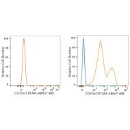 ABflo® 488 Rabbit anti-Human CD355/CRTAM mAb