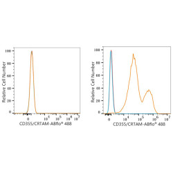 ABflo® 488 Rabbit anti-Human CD355/CRTAM mAb