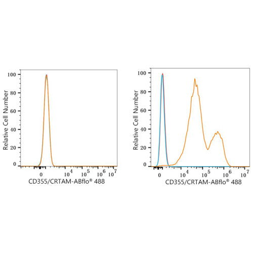 ABflo® 488 Rabbit anti-Human CD355/CRTAM mAb